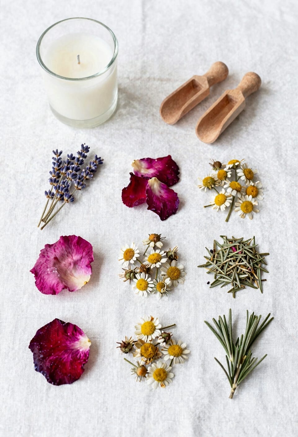 use small preserved botanicals